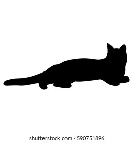 Black silhouette of cat. Vector illustration.