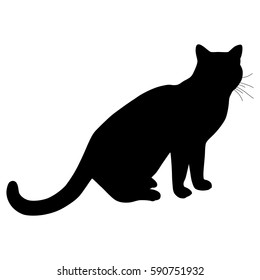 Black silhouette of cat. Vector illustration.