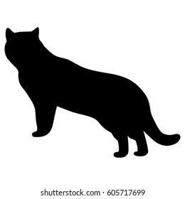 Black silhouette of cat. Vector illustration.