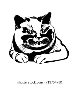 Black silhouette of cat. Vector illustration.