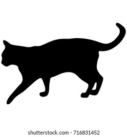 Black silhouette of cat. Vector illustration.