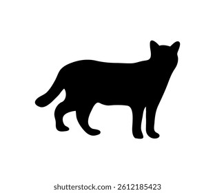 black silhouette of a cat vector isolated on white 