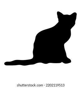 Black Silhouette Of A Cat. Silhouette Of A Walking Cat.Silhouette Of A Cat, Highlighted On A White Background.