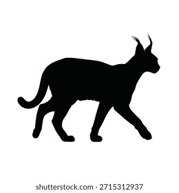 Una silueta negra de un gato en posición de caminar, vista desde un lado, sobre un fondo blanco.