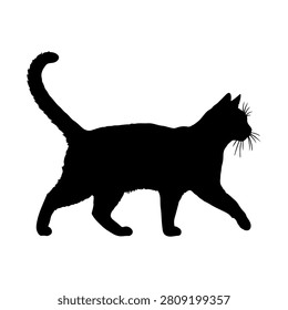 Black silhouette of a cat walking, showcasing its tail and whiskers, set against a plain white background for clear visual emphasis.