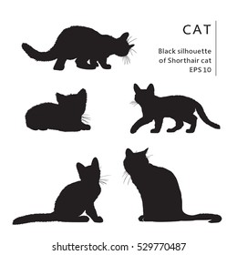 Similar Images, Stock Photos & Vectors of cat silhouette - 320018291