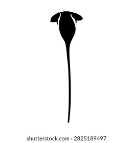 A black silhouette of a cats tail with ears and whiskers, emphasizing feline features against a plain background.