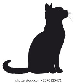 Black silhouette of a Chartreux