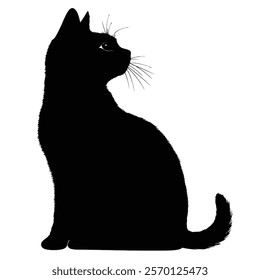 Black silhouette of a Chartreux