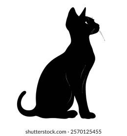 Black silhouette of a Chausie