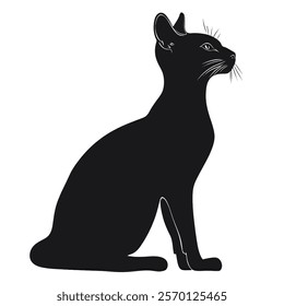 Black silhouette of a Chausie