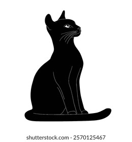 Black silhouette of a Chausie