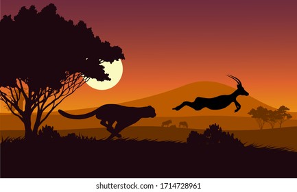 Black silhouette. The cheetah is chasing the Impala field in an African safari.