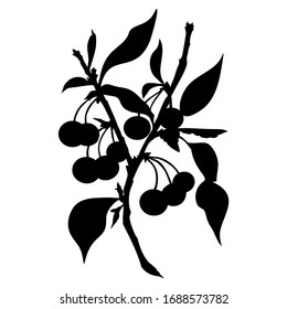 Black silhouette of Cherry branch with berries and leaves isolated on white background. Monochrome design. Fresh fruits. Product from the garden. Botanical vector illustration