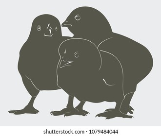 black silhouette chicken