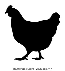 Black silhouette of a chicken standing, ideal for agricultural, farming, poultry, and rural concept representations.