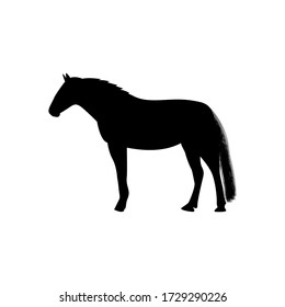 Black silhouette chilling horse vector illustration