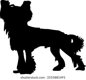 Black silhouette of a chinese crested dog isolated on a transparent background. Flat vector illustration