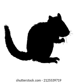 Schwarze Silhouette von Chipmunk-Vektorgrafik auf weißem Hintergrund
