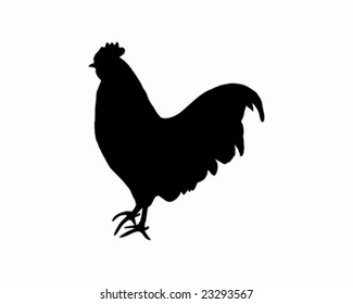 Elegant Hand Drawn Chicken Silhouette Farm Stock Vector (Royalty Free ...