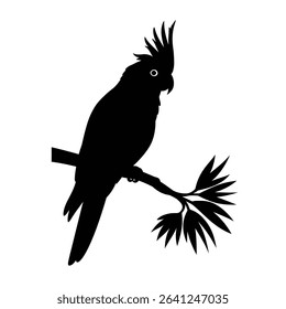 Black silhouette cockatoo perched on branch.