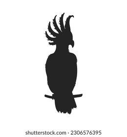 Black silhouette of cockatoo sitting on branch Australian bird flat style, vector illustration isolated on white background. Exotic parrot, decorative design element