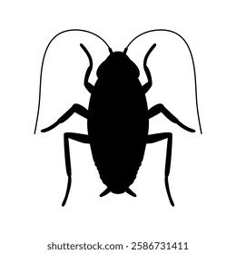 black silhouette of cockroach insect isolated on white background