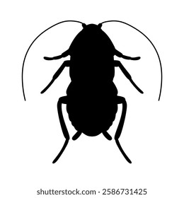 black silhouette of cockroach insect isolated on white background