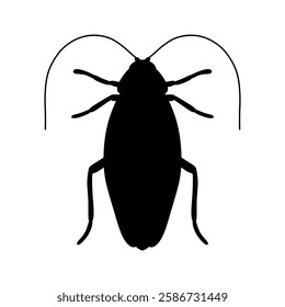 black silhouette of cockroach insect isolated on white background
