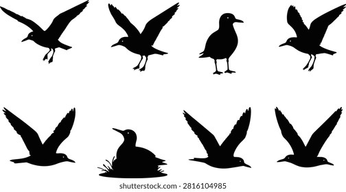 A black silhouette collection featuring seagulls flying, standing, landing, and resting near coastal vegetation. Ideal for marine logos, beach designs, wildlife posters, educational materials, travel graphics, and nautical branding.
A black silhouette collection featuring seagulls flying, standing, landing, and resting near coastal vegetation. Ideal for marine logos, beach designs, wildlife posters, educational materials, travel graphics, and nautical branding.

