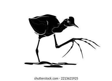 Black silhouette of the comb-crested jacana on white background. Graphic drawing. Vector illustration.