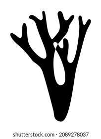 Black silhouette of coral or seaweed