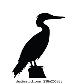 Black silhouette of a Cormorant vector illustration