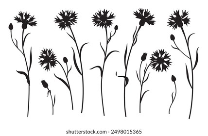 Black silhouette of cornflowers isolated on white background. Contour drawing field plants with flowers, leaves and buds on stem. Simple vector illustration of wildflowers. 