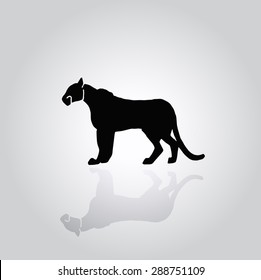 Black silhouette of cougar standing on a gray background. logo cat