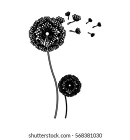 black silhouette couple dandelion and fly petals