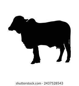  Black silhouette cow isolated on white background. Hand drawn vector illustration.