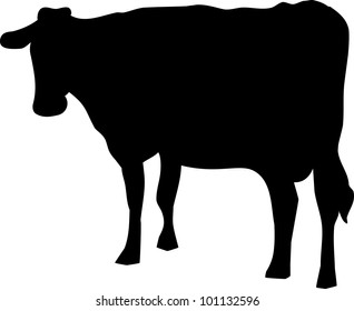 Black silhouette of a cow on a white background