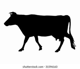 The black silhouette of a cow on white