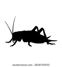 Black silhouette of a cricket insect, showcasing detailed body parts and antennae, isolated on a plain white background for clear visual focus.