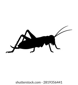 A black silhouette of a cricket insect, showcasing detailed body parts and antennae, isolated on a plain white background.