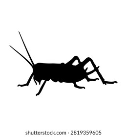 A black silhouette of a cricket insect, showcasing detailed body parts and antennae, set against a plain background for clear focus.