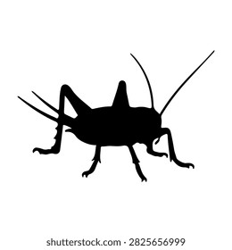 A black silhouette of a cricket insect, showcasing detailed features and antennae, isolated on a plain white background for clarity.