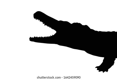 Black silhouette of a crocodile head on white background, vector illustration