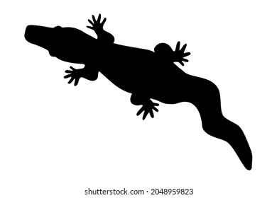 Black silhouette of crocodile isolated on white background. Alligator sign or symbol. Simple reptile icon. Wild tropical animal outline. Crocodile figure shadow top view . Stock vector illustration