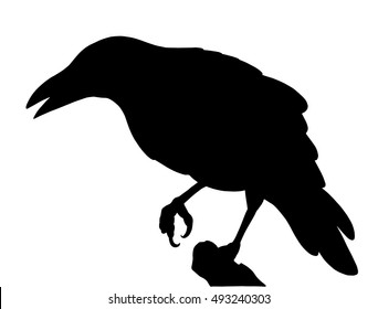 The black silhouette of a crow.