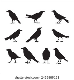 A black silhouette crow bird set