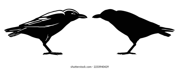 The black silhouette of a crow. Circuit birds. sitting rook. Raven