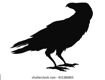 The black silhouette of a crow. Circuit birds.