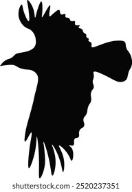 Black Silhouette of Crow. Halloween Raven Silhouette. Isolated on White Background